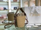 Chloe Original Quality Handbags 121