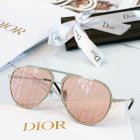 DIOR High Quality Sunglasses 1031