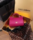 Dolce & Gabbana Original Quality Handbags 254