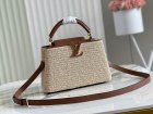 Louis Vuitton Original Quality Handbags 1523