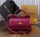 Dolce & Gabbana Original Quality Handbags 212