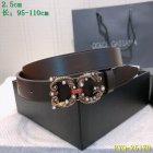 Dolce & Gabbana Original Quality Belts 07