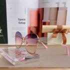 DIOR High Quality Sunglasses 1323