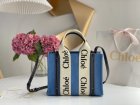 Chloe Original Quality Handbags 137