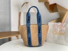 Chloe Original Quality Handbags 125