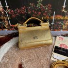 Dolce & Gabbana High Quality Handbags 192