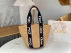 Chloe Original Quality Handbags 131