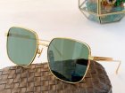 Bottega Veneta Sunglasses 310