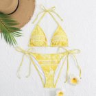 DIOR Bikini 133