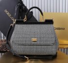 Dolce & Gabbana Original Quality Handbags 438