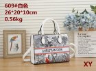 DIOR Normal Quality Handbags 104