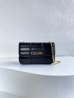 CELINE High Quality Handbags 176