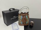 Coach High Quality Handbags 145
