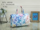 Louis Vuitton Normal Quality Handbags 54