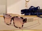 DIOR High Quality Sunglasses 1379