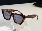 CELINE High Quality Sunglasses 219