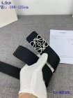 Loewe Belts 03