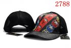 Louis Vuitton Normal Quality Hats 06