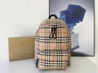 Burberry High Quality Handbags 304