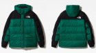 The North Face Men's Outerwears 243