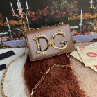 Dolce & Gabbana High Quality Handbags 271