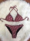 DIOR Bikini 50