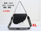 DIOR Normal Quality Handbags 173