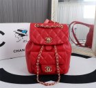 Chanel High Quality Handbags 569