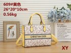 DIOR Normal Quality Handbags 193
