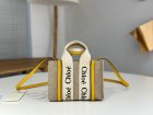 Chloe Original Quality Handbags 145
