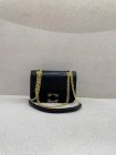 CELINE High Quality Handbags 169